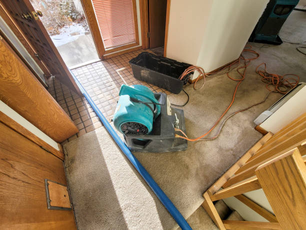  Chickasha, OK Water damage restoration Pros