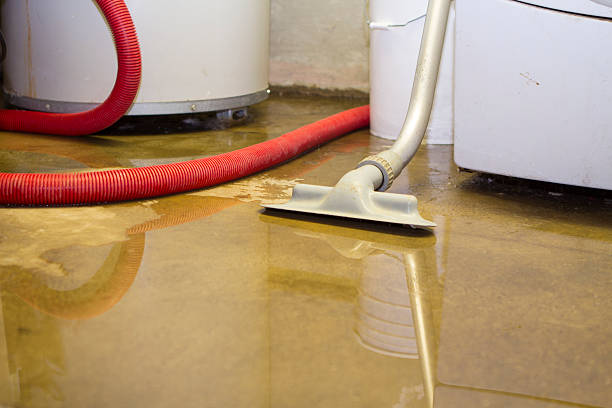 Best Basement water damage restoration  in Chickasha, OK